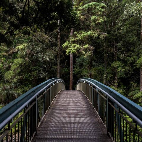 tim-swaan-eOpewngf68w-unsplash.jpg tim-swaan-eOpewngf68w-unsplash.jpg